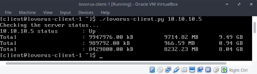 lovorus-client-1 [Running] - Oracle VM VirtualBox_003
