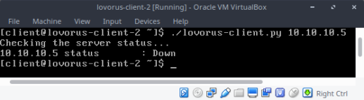 lovorus-client-2 [Running] - Oracle VM VirtualBox_007